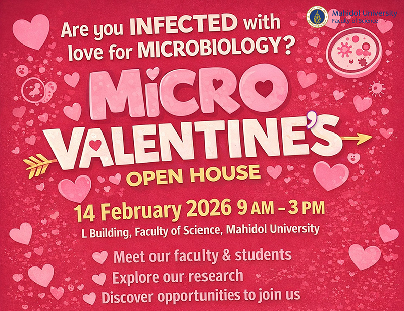 กิจกรรม