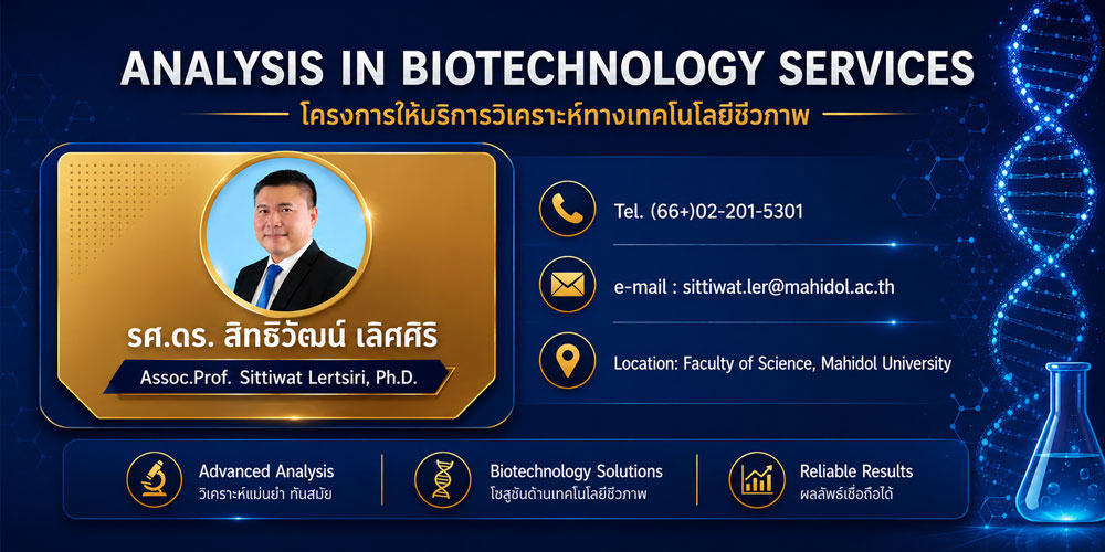 สิทธิวัฒนื