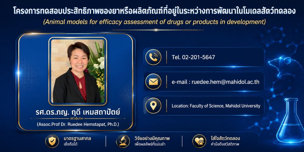 ฤดี
