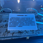 S__12664853_0