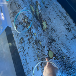 S__12664854_0