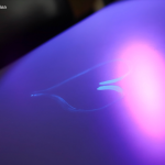 S__97566739_0